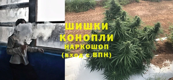 гидра Белокуриха