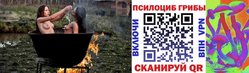 Псилоцибиновые грибы Cubensis  Курчалой 